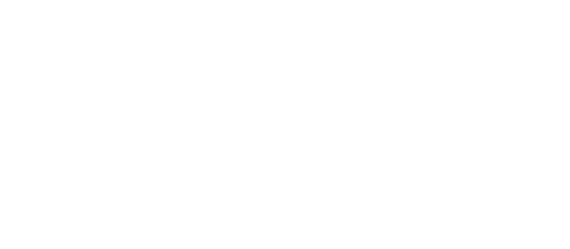 Bundesliga